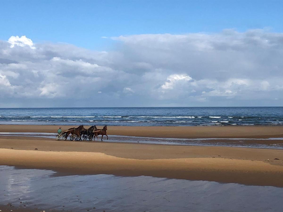 Maison Proche Omaha Beach Vue Imprenable Sur Haras Etreham Eksteriør bilde